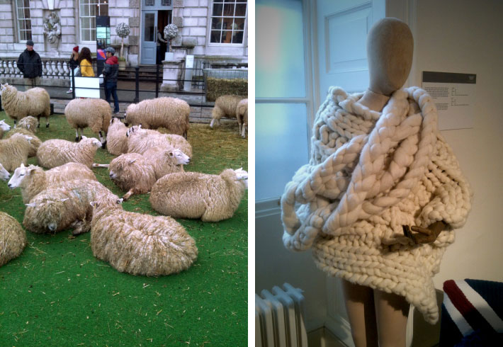 Sheep style: sheep spotted in the courtyard at Somerset House